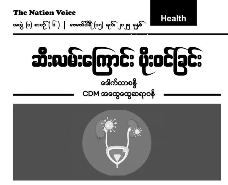 ဆီးလမ်းကြောင်း ပိုးဝင်ခြင်း 